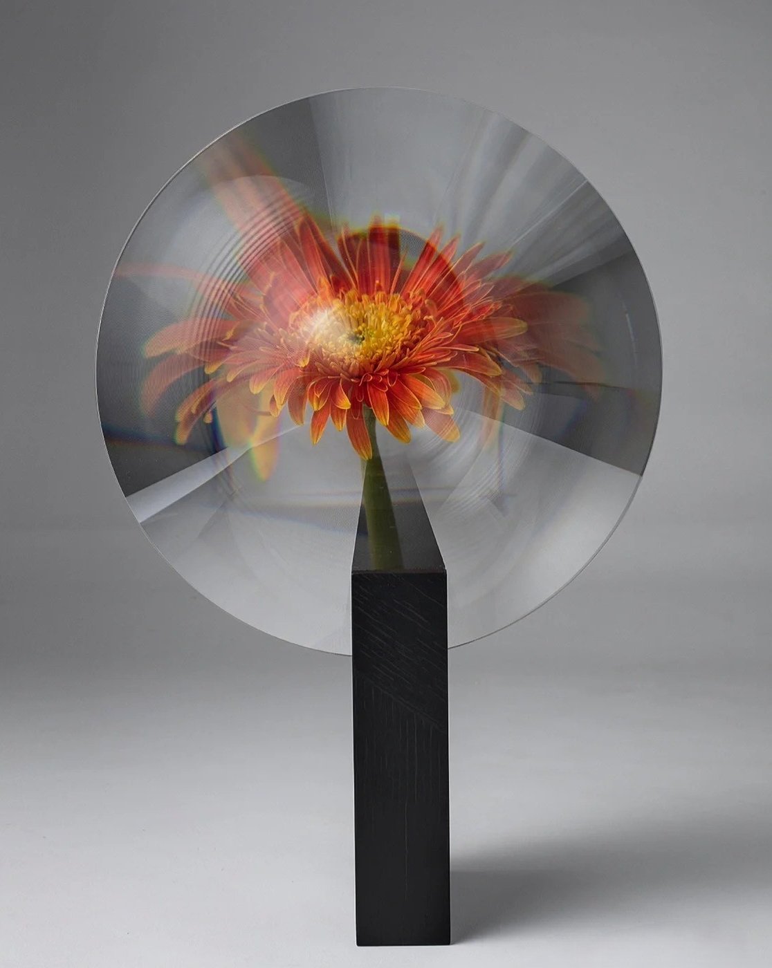 Phantom Flower Modern Vase